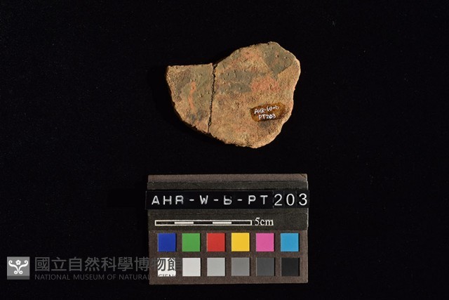陶片藏品圖，第1張