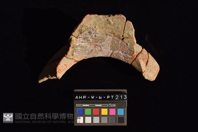 陶罐藏品圖，第4張