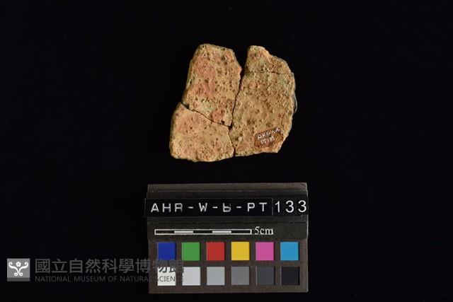 Accession Number:AHR-W-b-PT133 Collection Image, Figure 4, Total 4 Figures