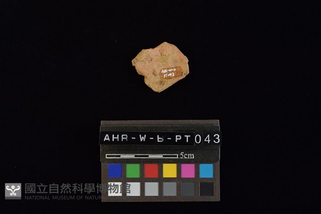 陶片藏品圖，第4張