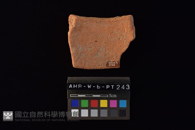 陶片藏品圖，第4張