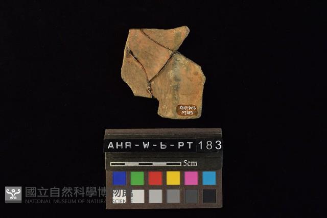 陶片藏品圖，第4張