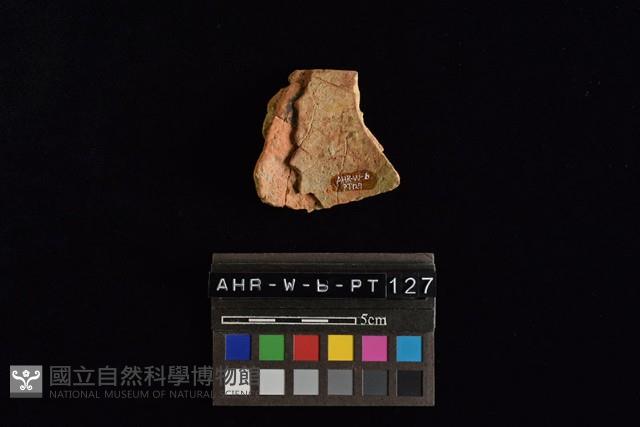 陶片藏品圖，第4張