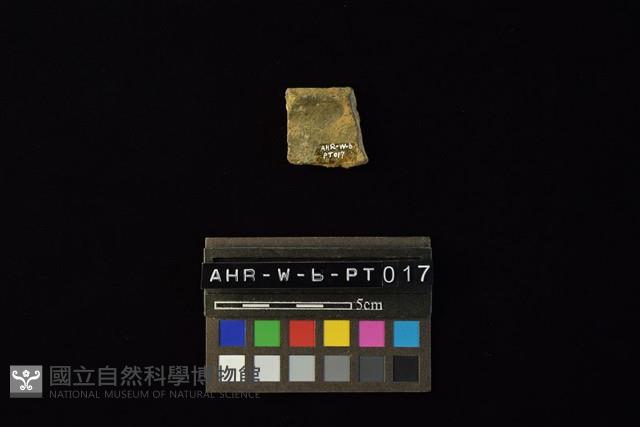 陶片藏品圖，第4張