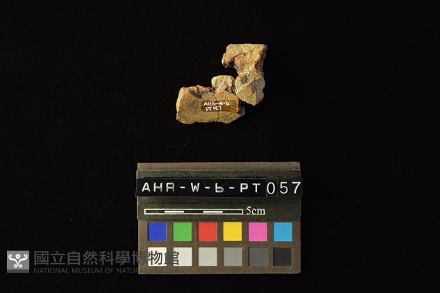 陶罐藏品圖，第4張