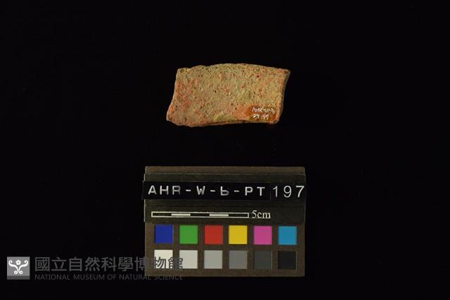 陶罐藏品圖，第1張