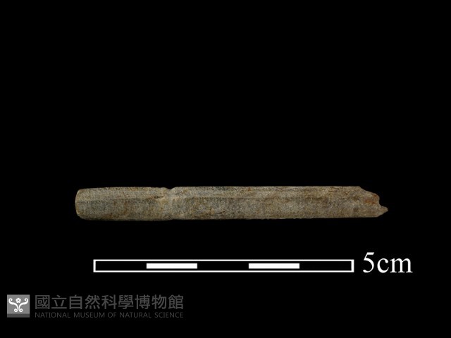 玉管藏品圖，第4張