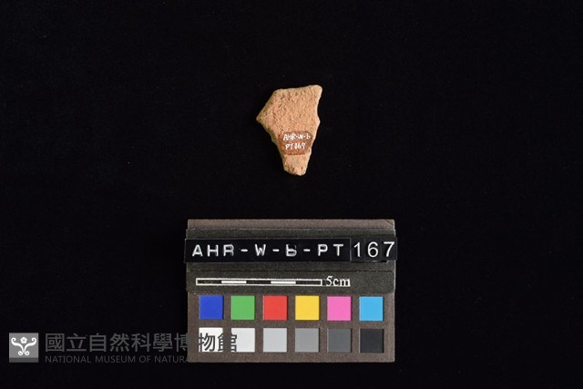 陶片藏品圖，第4張