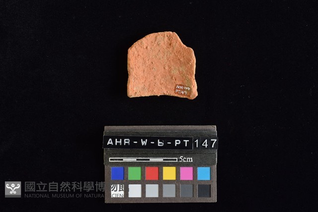 陶片藏品圖，第1張