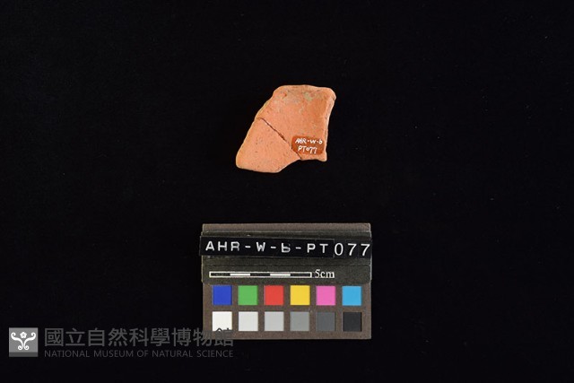 陶片藏品圖，第4張