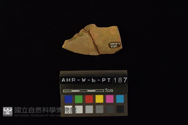 陶片藏品圖，第4張