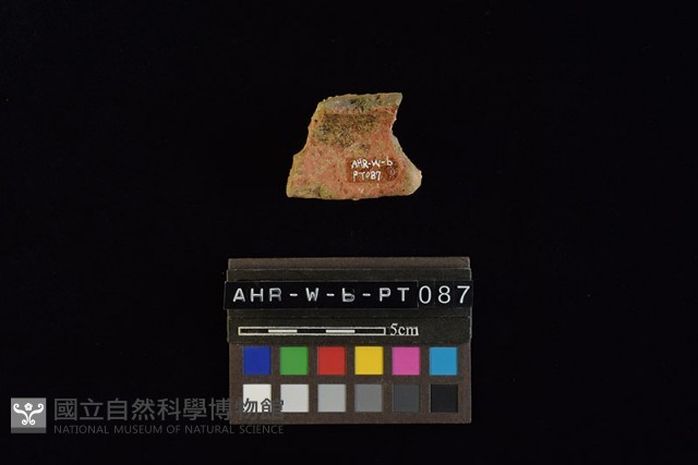 陶片藏品圖，第1張