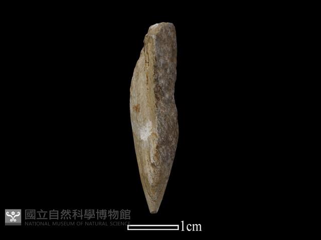 鑽頭藏品圖，第4張