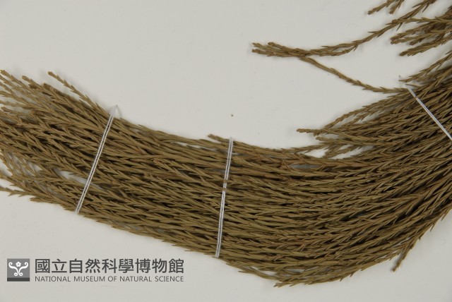 世界爺藏品圖，第4張