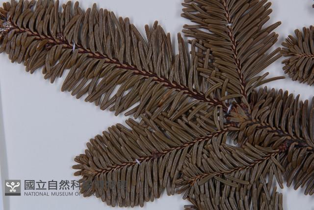 登錄號:G001066藏品圖，第4張