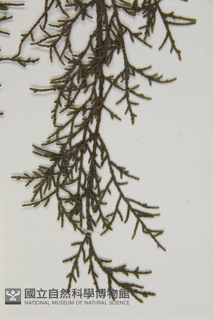 登錄號:G000562藏品圖，第4張