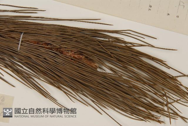 登錄號:G000391藏品圖，第4張