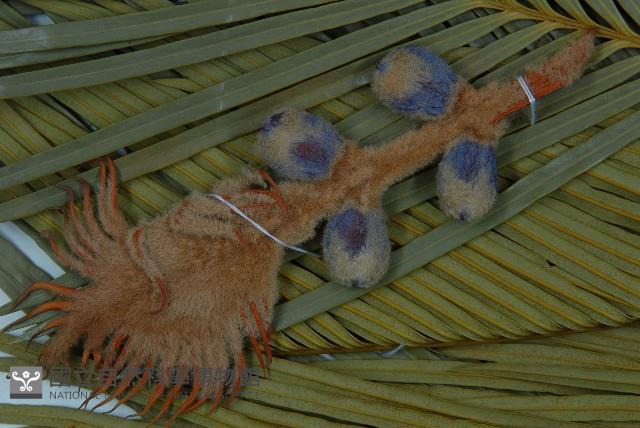 台東蘇鐵藏品圖，第3張