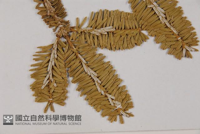 登錄號:G001111藏品圖，第4張