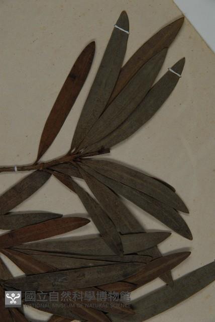 登錄號:G000774藏品圖，第4張