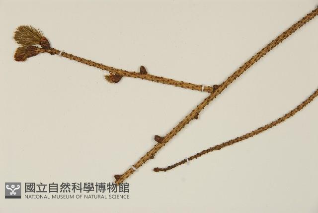 登錄號:G001004藏品圖，第4張