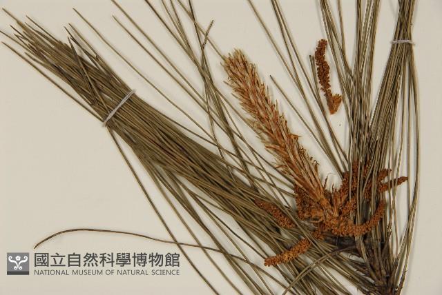 登錄號:G000158藏品圖，第4張