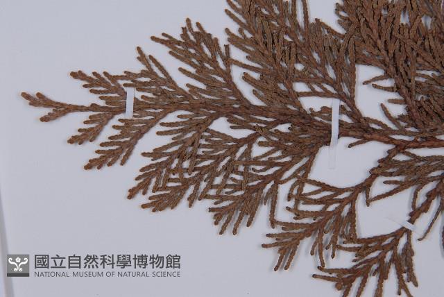 登錄號:G000317藏品圖，第4張