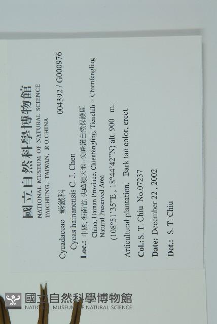 登錄號:G000976藏品圖，第7張