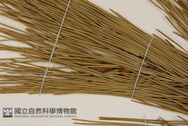 登錄號:G000896藏品圖，第5張