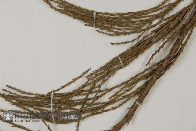 世界爺藏品圖，第5張