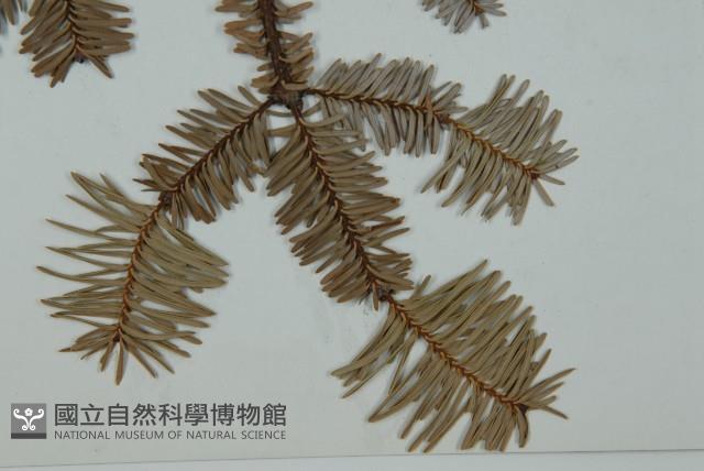 登錄號:G000356藏品圖，第5張