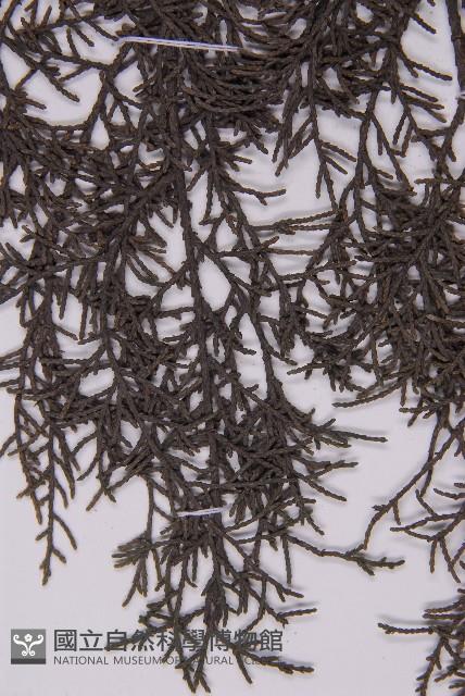 登錄號:G000562藏品圖，第5張