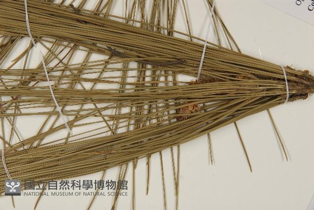 登錄號:G000972藏品圖，第5張