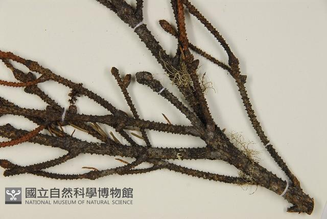 登錄號:G001012藏品圖，第5張