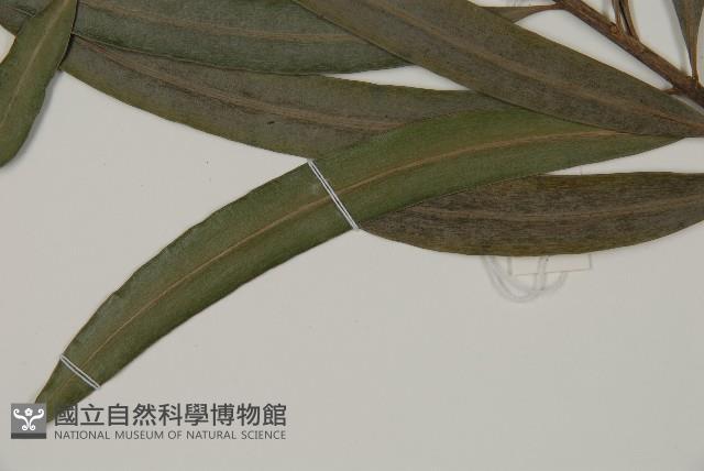 Accession Number:G000910 Collection Image, Figure 5, Total 5 Figures