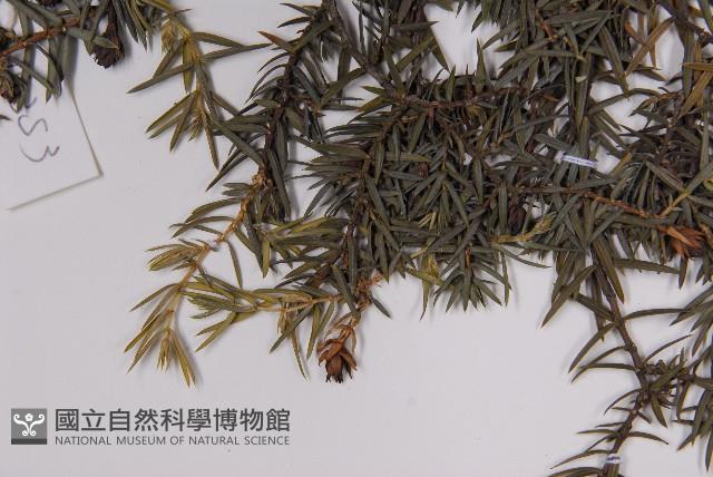 登錄號:G001119藏品圖，第5張