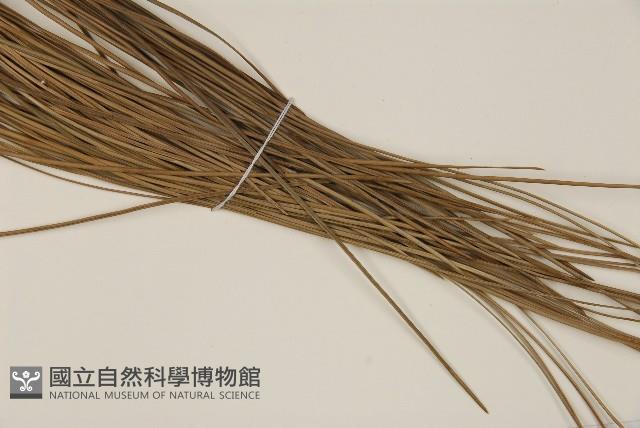 登錄號:G000268藏品圖，第5張