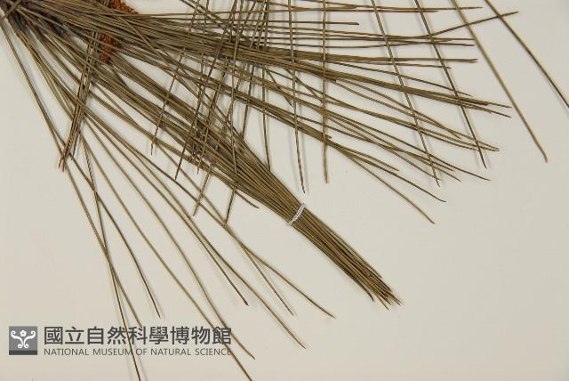 登錄號:G000157藏品圖，第5張