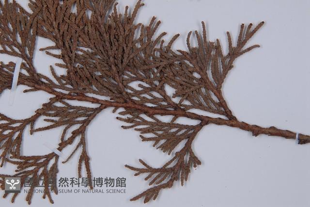 登錄號:G000317藏品圖，第5張