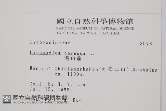 過山龍藏品圖，第2張