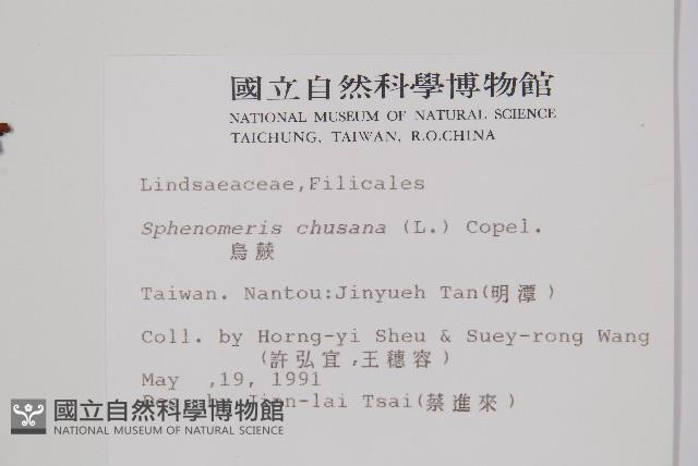 烏蕨藏品圖，第2張