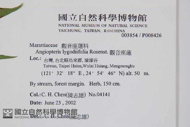 觀音座蓮藏品圖，第2張