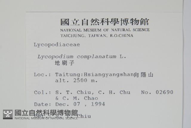 地刷子藏品圖，第2張