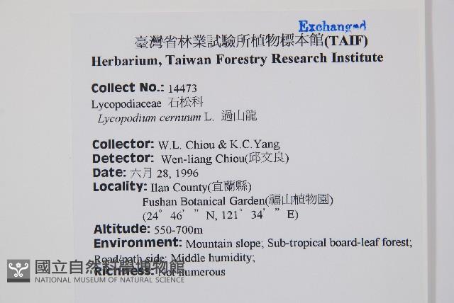 過山龍藏品圖，第2張