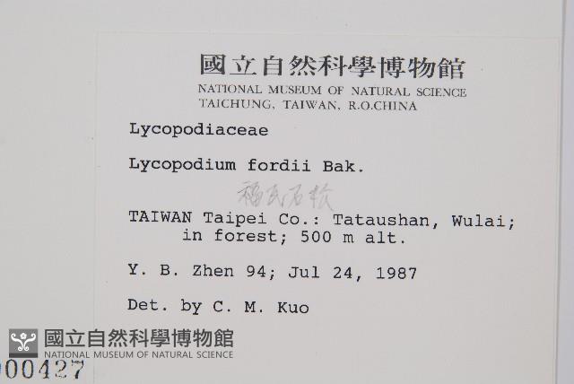 福氏石松藏品圖，第2張