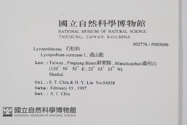 過山龍藏品圖，第2張