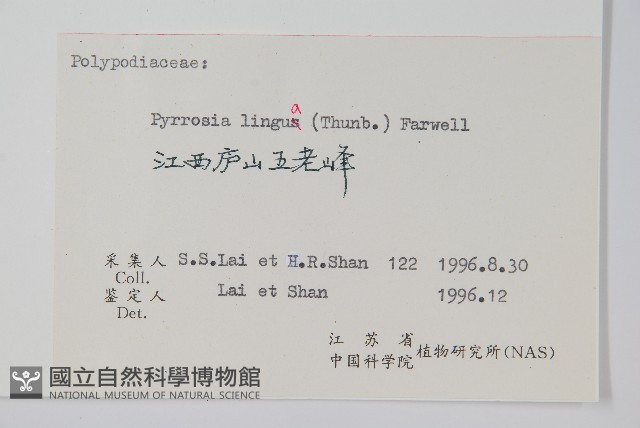 石葦藏品圖，第2張