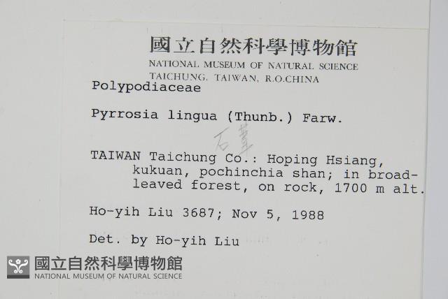 石葦藏品圖，第2張