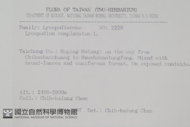 地刷子藏品圖，第2張