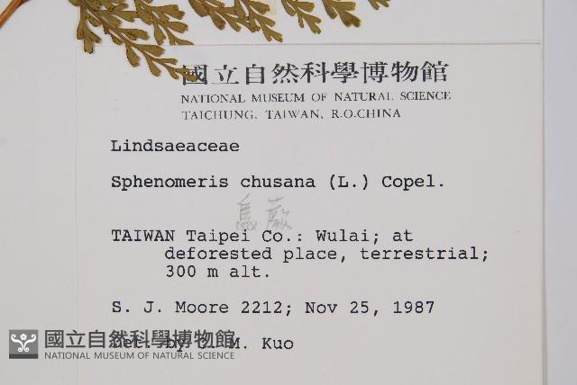 烏蕨藏品圖，第2張